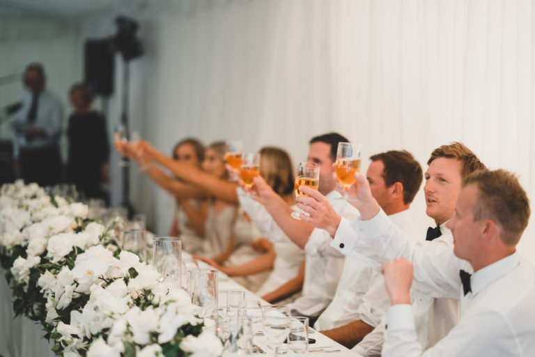 Wedding party cheersing drinks